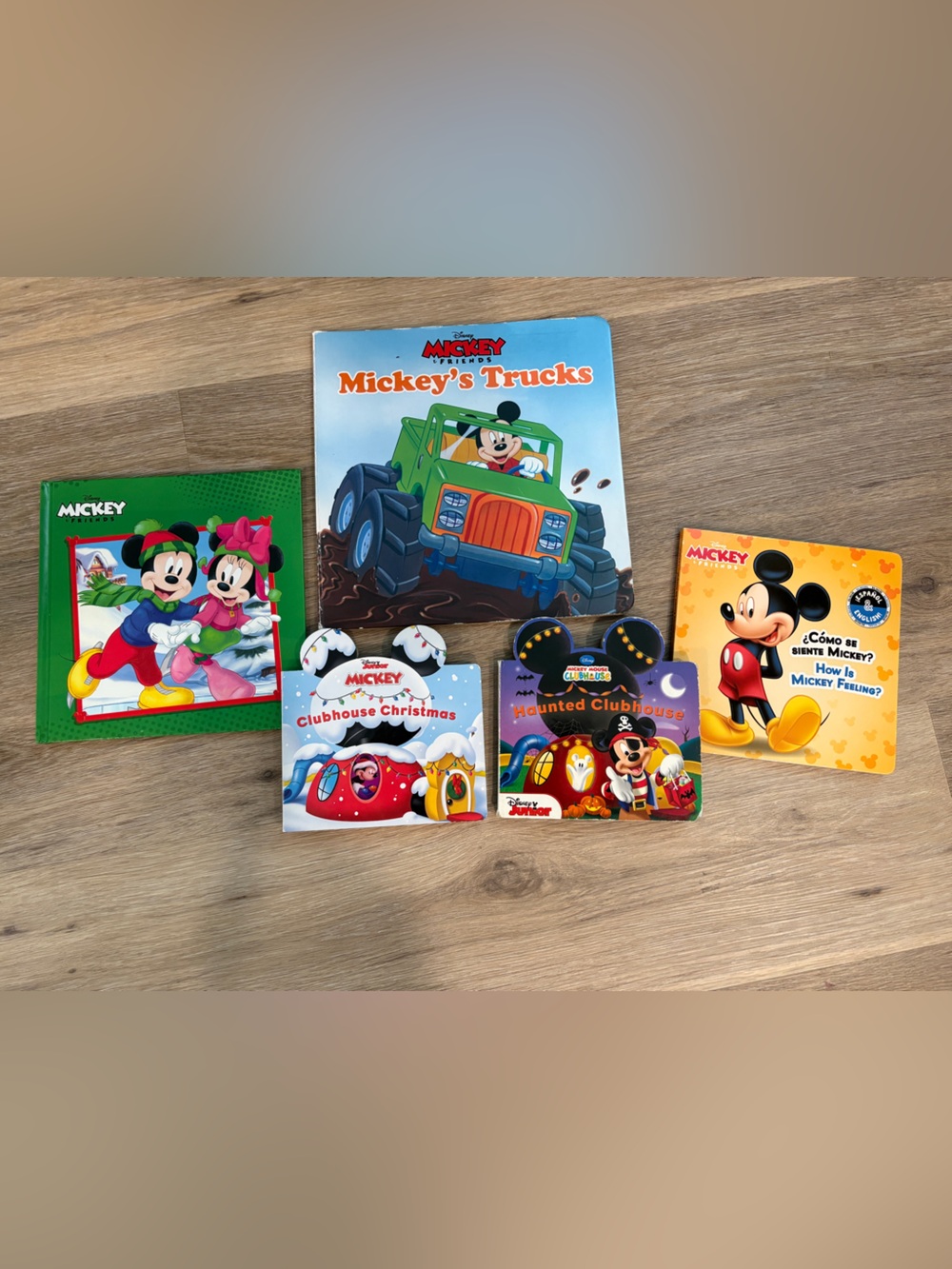 Disney Mickey Mouse and Friends Board Books Set of 5